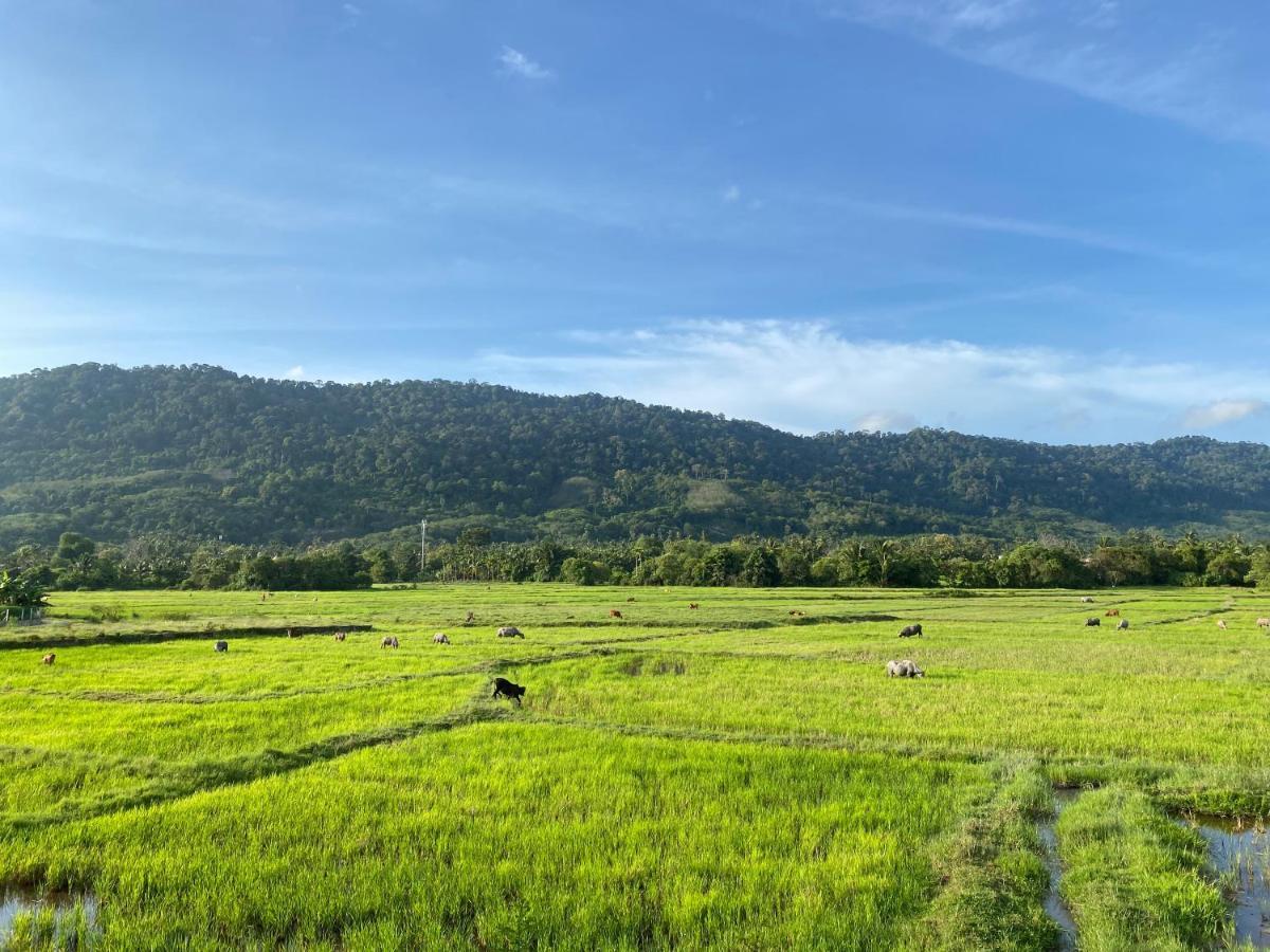 Lamanleman Langkawi ปันไตเจอนัง ภายนอก รูปภาพ